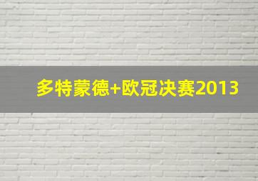 多特蒙德 欧冠决赛2013
